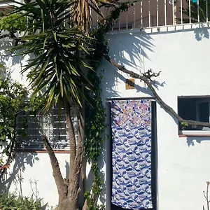 estudio-boho-chic-nuevo-bien-ubicado.topcostabravahotels.com/